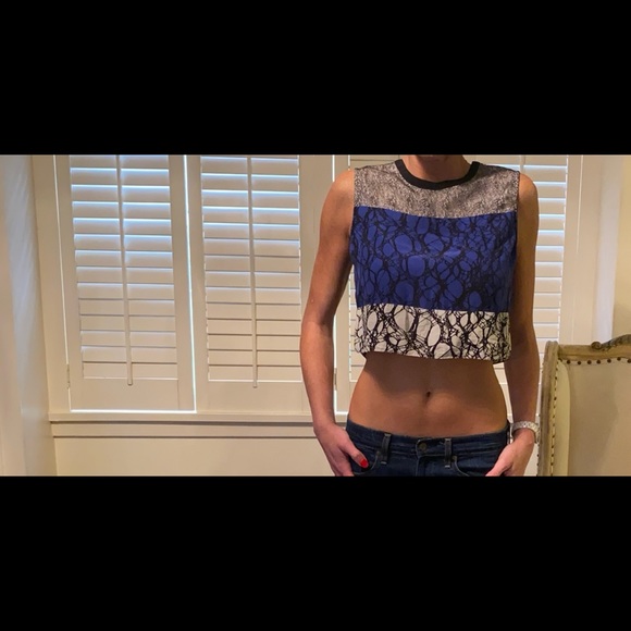 Elizabeth and James silk and lace crop top - Picture 2 of 8